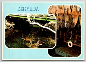 Postal Tortugas en Cueva de Cristal y Agujero del Diablo Bermudas Karstificación - Imagen 1 de 2