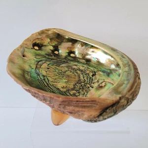 Red ABALONE SHELL Lucite Feet Footed Bowl MCM Vintage Iridescent Seashell - Picture 1 of 10