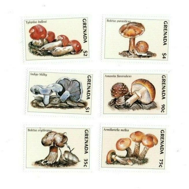 Grenada 1997 - Mushrooms - Set Of 6 Stamps - Scott #2701-6 - MNH - Image 1 of 1