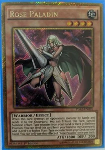 YuGiOh Rose Paladin Gold Secret Rare 1st Edition PGL2-EN004 - Bild 1 von 1