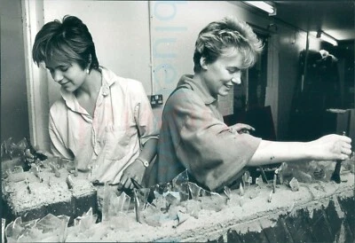 1987 Theatre in the Round set design Scarborough Press photo 9x6" - Image 1 of 2