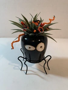 Halloween VTG Button Bouquet-Spooky Spider-Autumn~Farmhouse~Country~Farmhouse - Picture 1 of 4