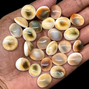 26 Pcs Natural Gomti Chakra 15-18mm Cabochon Untreated Gemstones Wholesale Lot - Picture 1 of 10