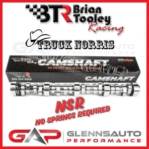 Brian Tooley Racing (BTR) "Truck Norris" NSR LS Truck Cam - NO SPRINGS REQUIRED - Picture 1 of 4