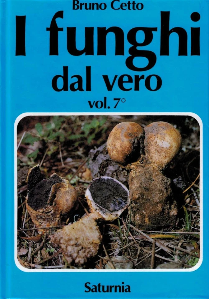 I funghi dal vero