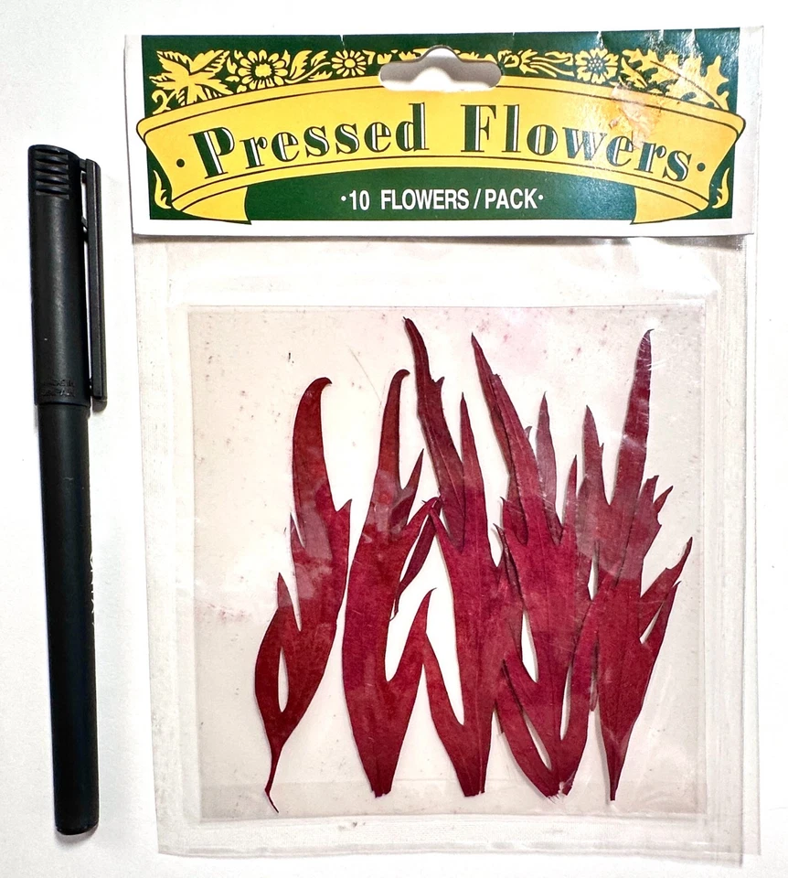 Pressed Flowers Leaves Scrapbooking Embellish Card - Image 1 of 1