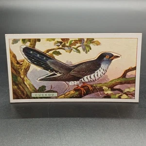 1920s Ogden's Birds Press-Outs CUCKOO Antique Tobacco Cigarette Card - Picture 1 of 2