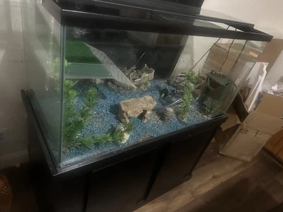 Pecera y soporte 150 galones Foto 1 de 4