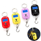 25kg/5g Mini Hook Scale Digital Suitcase Scales Hanging weighing Travel Weightin