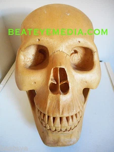 CRANIO ORIGINE ARTE-CULTURA-INTAGLIO-MASCHERA-MASCHERE-TRIBALE-TATUAGGIO-TESCHIO UMANO-ANATOMIA - Foto 1 di 6