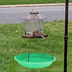 Alimento para pájaros Catcher Platform casa para pájaros alimentación contenedor de comida colgar - Imagen 1 de 5