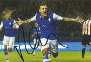 FOTO DE ACCIÓN 6x4 firmada por Ross Wallace de Sheffield Wednesday + certificado de autenticidad - Imagen 1 de 1