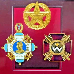 ✅🔥 State Awards of the President of Ukraine: Medals, Orders - Album in English - Zdjęcie 1 z 22