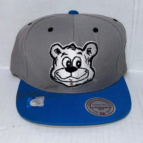 Mitchell and Ness snapback UCLA Bruins Hat Mascot Bear Blue Grey **DIRTY** Cover