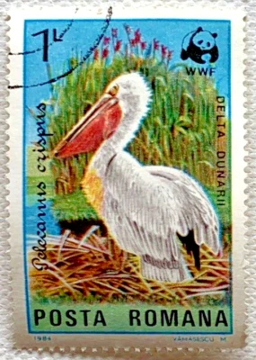 Estampilla postal de pájaro pelícano dálmata Rumania 1984 goma original MNH cancelada CTO Foto 1 de 3