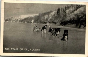 Postcard Dog Sled Team on Ice Alaska PM 1946 - Picture 1 of 2