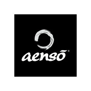 Aenso - Wally Werbebanner, 1x1 Meter - Bild 1 von 1