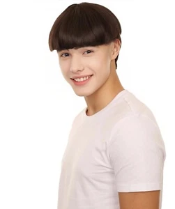 Final Boss Wig Lloyd Retro Bowl Cut Brown 90s Dumb & Dumber Costume Party Hair - Picture 1 of 9