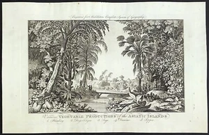 Asiatic Islands Vegetable Production from Middletons Geography 1777 - Picture 1 of 4