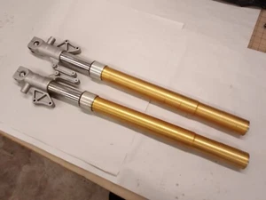 Hyosung GT250 Forks Fits 2001-2009 - Picture 1 of 3