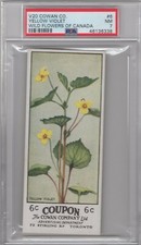 1920 Cowan Co. V20 Wild Flowers of Canada #6 Yellow Violet Graded PSA 7