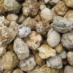 20 Lb Unopened Kentucky Geodes - 100% Natural, Raw - Collectors & Hobbyists Grad - Picture 1 of 20