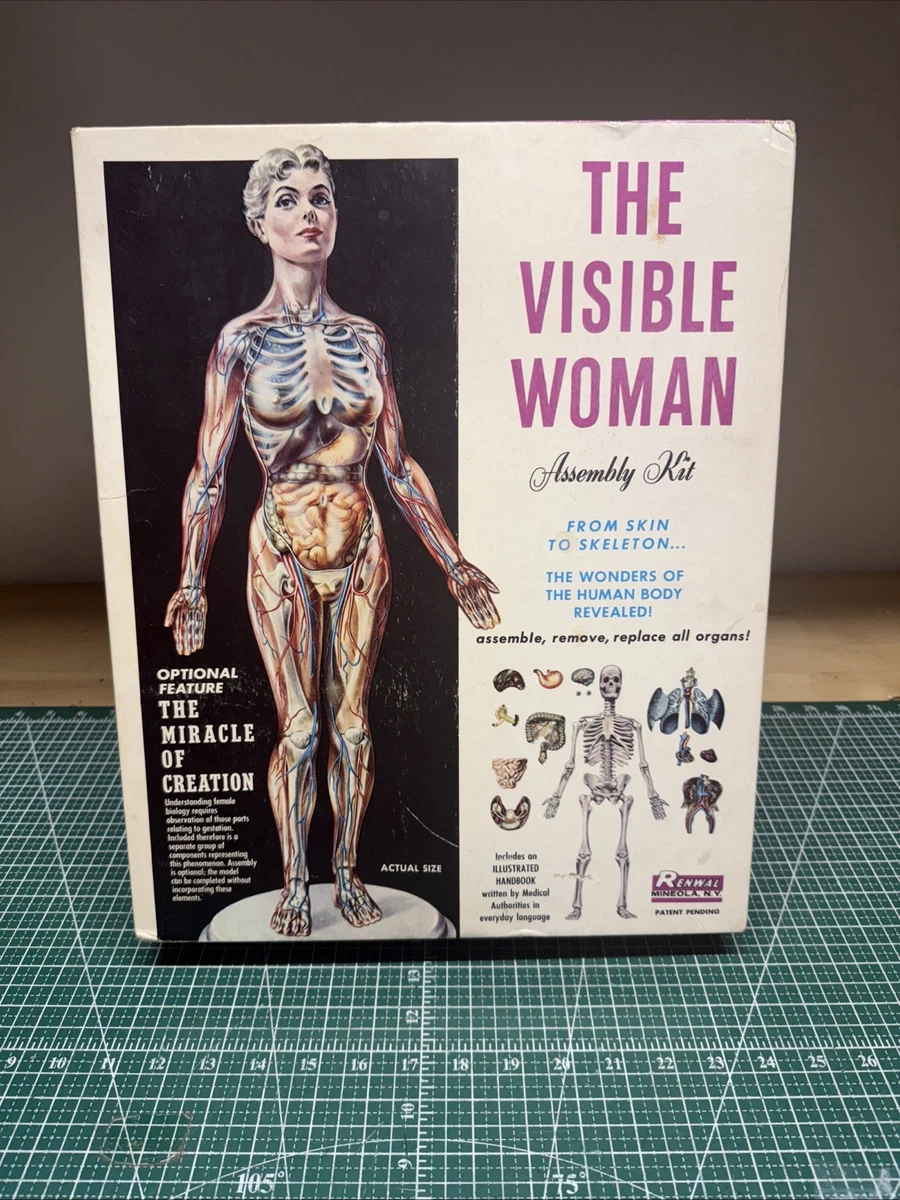 visible woman products for sale | eBay