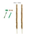 2Pcs Coir Moss Stick Plant Support Extension for Philodendron Garden Balcony