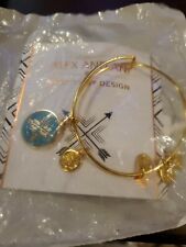 Alex and Ani Arrows of Friendship Charm Bangle Bracelet in Gold CBD15AOFYG