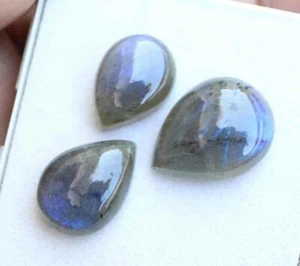 34.30 Ct 3 Pcs Natural Blue Labradorite Pear Cabochon Loose Gemstone Lot - Picture 1 of 2