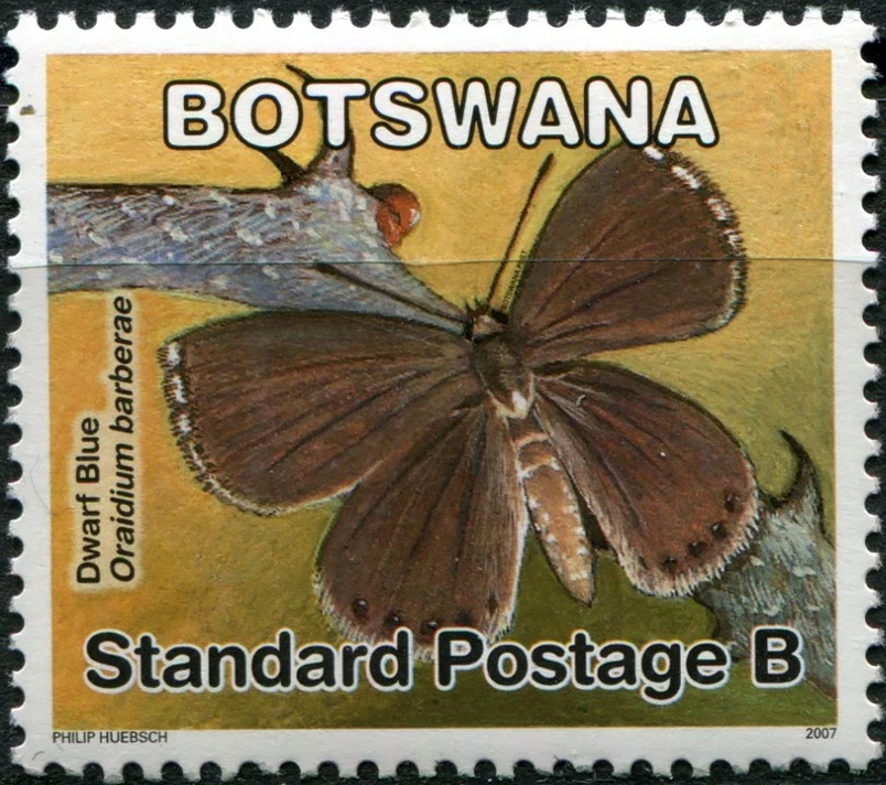 Botswana 2007. Butterflies - Dwarf Blue (MNH OG **) Stamp - Image 1 of 1