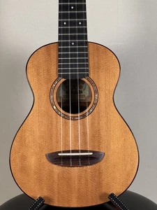 Anuenue Sitka Rosewood Ii Used All Single Board - Picture 1 of 6