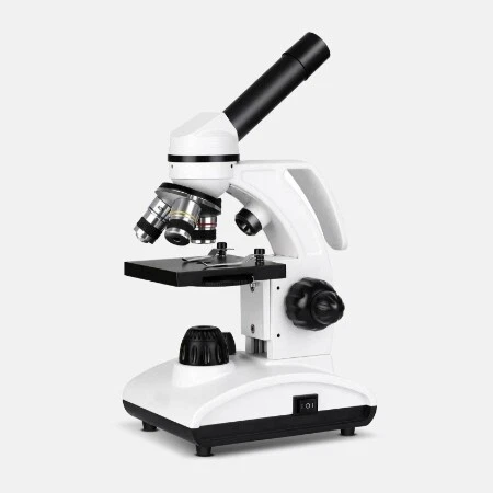 医疗保健、实验室和牙科