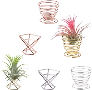 6Pcs/Pack Air Plant Holders,Wire Metal Plants Stand Planter Shelves,Airplant Con - Picture 1 of 12