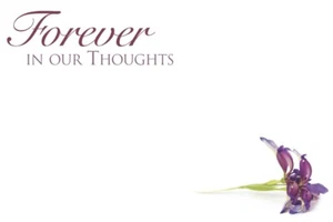 ShredAstic® FOREVER IN OUR THOUGHTS small FUNERAL Florist Message Cards 6x9cm - Picture 1 of 15