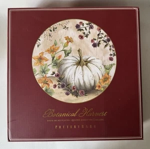 POTTERY BARN Botanical Harvest Pumpkin Stoneware Salad Plate * Set of 4 * in Box - Picture 1 of 6