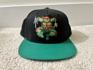 Nickelodeon Teenage Mutant Ninja Turtles Raphael Snap Back 3D Skater TMNT Hat - Bild 1 von 3