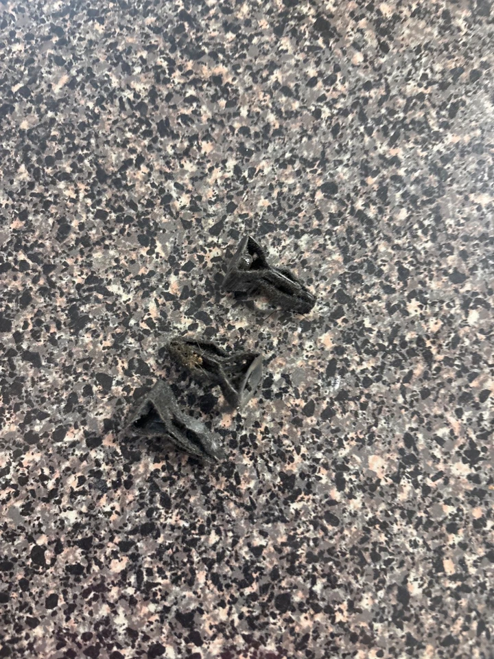 Ford F150 F250 F350 1992-1997 Bronco tablero bisel pasadores de montaje + (3 tornillos de reparación) Foto 1 de 1