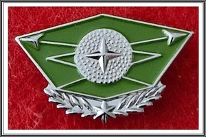 israel army idf intelligence force course course from shekel - transcript pin - Picture 1 of 1