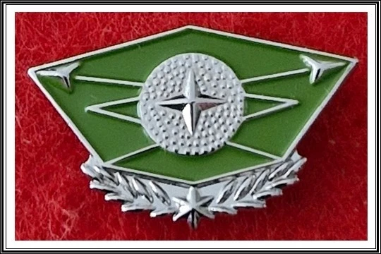 israel army idf intelligence force course course from shekel - transcript pin - Image 1 of 1