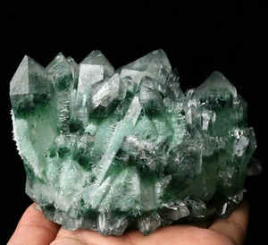 2.27lb Clear Green Phantom Quartz Point Crystal Cluster Healing Mineral Specimen - Bild 1 von 9