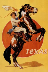 Cowgirl Hat Farm Texas USA Tourism Vintage Art Wall Room Poster - POSTER 20x30 - Picture 1 of 4