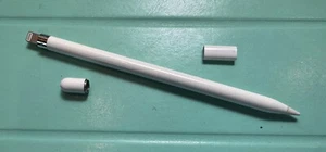 Apple Pencil 1st Generation W/ USB to Apple Pencil Adapter - Afbeelding 1 van 3