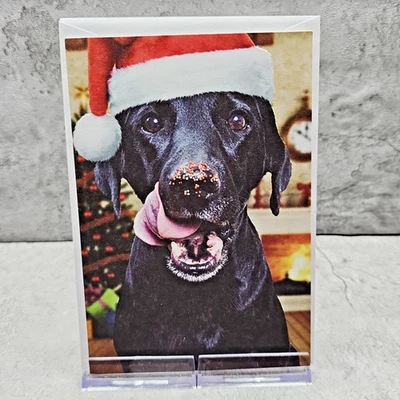 Recycled Paper Greetings Christmas Card Dog Sprinkles Cookies Humor 5x7 - Image 1 of 4