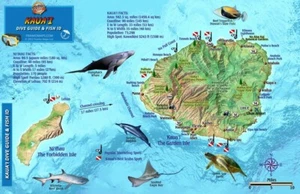 Kauai Hawaii Map & Reef Creatures Guide Waterproof Fish Card by Franko Maps - Picture 1 of 2