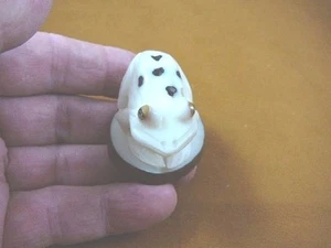 (TNE-FROG-192-A) white spotted FROG amphibian TAGUA NUT Figurine frogs - Picture 1 of 1