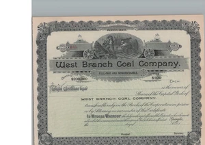 WEST SUCURSAL COAL COMPANY... CERTIFICADO DE STOCK DE 1890 SIN EMITIR - Imagen 1 de 1