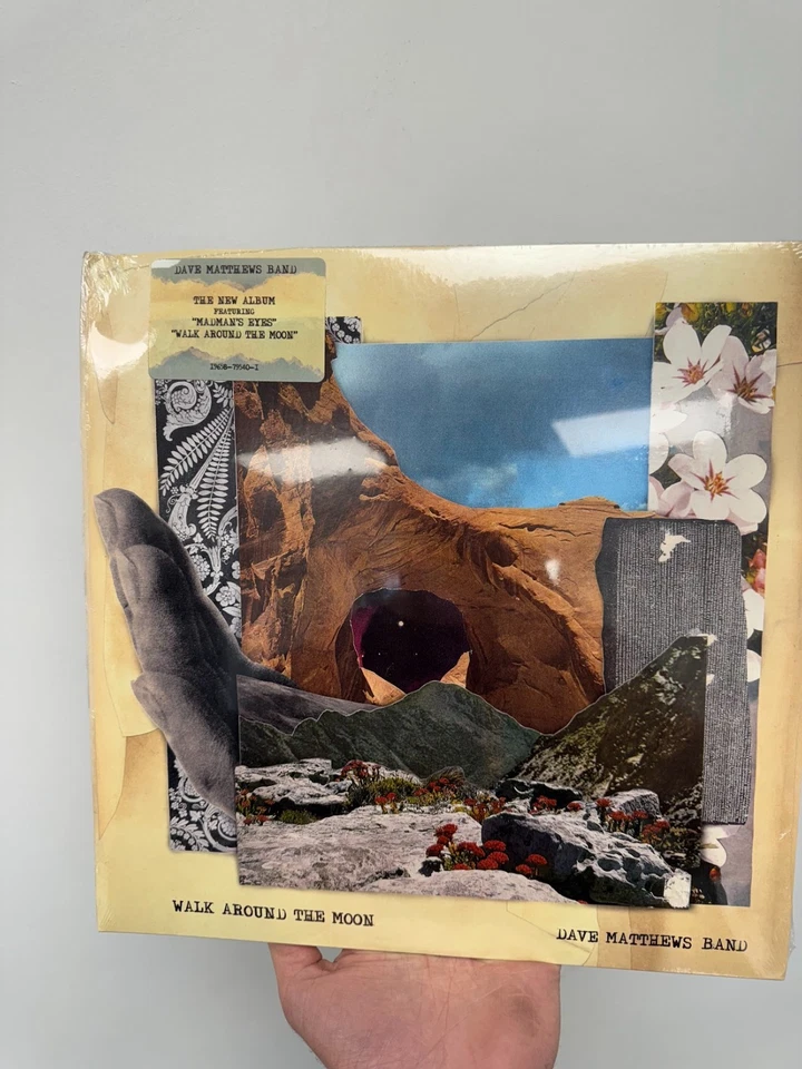 Dave Matthews Band : Walk Around The Moon (Vinyl) New Bend to Cover - Image 1 of 4