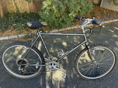 De colección Miyata Terra Runner SuginoGT Araya SR Mts-100 Foto 1 de 4