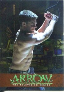 Arrow Season 1 Bronze Parallel Training Chase Card TR8 - Picture 1 of 1